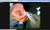 untitled.webp