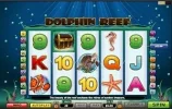 Dolphin Reef.webp