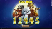 Wolfcub.webp