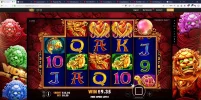 5 Lions.webp