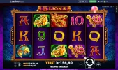 5 Lions.webp