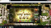 Bonanza 11.80.webp