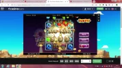 donuts74multi.webp