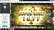 Bonanza 16.80.webp