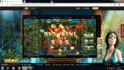 TQS 5.88.webp