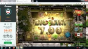 Bonanza 8.80.webp