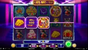cats21.webp