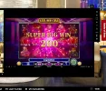 cats55.webp