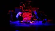 show2.webp
