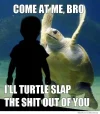come-at-me-bro-ill-turtle-slap-the-shit-out-of-you.webp