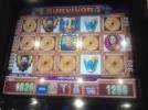 survivor win.webp