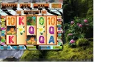 lion lair 2.webp lion lair 2.webp
