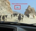 sample picture 2.webp