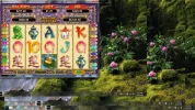 lotus win.webp