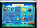 dolphin.webp