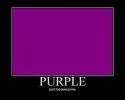 Purple.webp