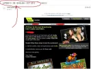 intercasino.webp