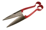 Sheep shears.jpg