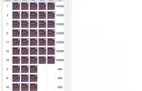 lucky2.webp
