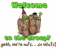 welcome_to_group_were_nuts.webp welcome_to_group_were_nuts.webp