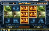 wild.webp