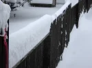 fence.webp