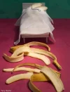 peel.webp