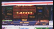 wildrock0.webp