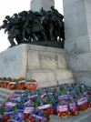 poppy-poppies-remembrance-veterans-day-November-11-18.webp