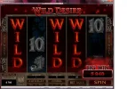 wil;d des.webp