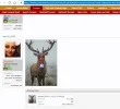 aa1.webp