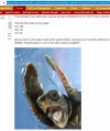 aa1.webp
