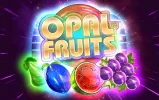 OpalFruits-Belly.png OpalFruits-Belly.png