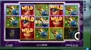 2019 04 29 wolf almost all balck 8 balls 1120 10 bet webby.webp