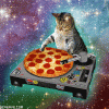DJCAT.gif DJCAT.gif