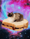 CATS.gif CATS.gif