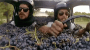 GRAPES.gif