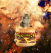 CATB.gif CATB.gif