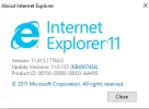 IE Version.webp