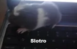 Slotro.webp Slotro.webp