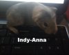 Indy-Anna.jpg