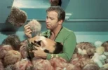 tribpig.webp