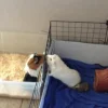 cutestthingever.webp