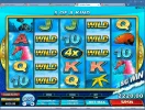 dolphins.webp