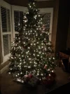 2012 tree.webp