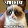 still here.webp