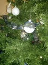 CAM00148.webp