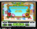 boylesports flowers 1.webp