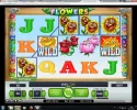 boylesports flowers 2.webp