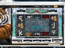 tigerbear.webp
